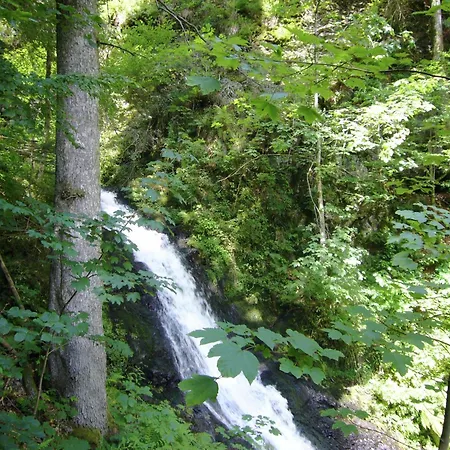 Mit Talblick In טודמוס