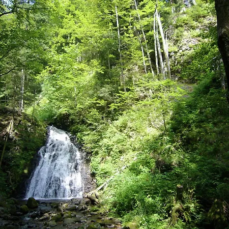 Mit Talblick In * טודמוס