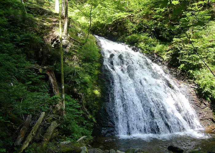 Mit Talblick In Ferienhaus Todtmoos